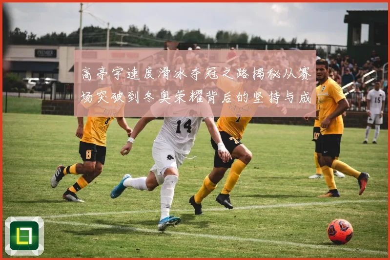 高亭宇速度滑冰夺冠之路揭秘从赛场突破到冬奥荣耀背后的坚持与成长