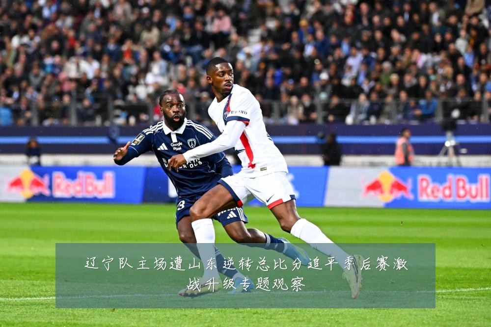 辽宁队主场遭山东逆转总比分追平季后赛激战升级专题观察